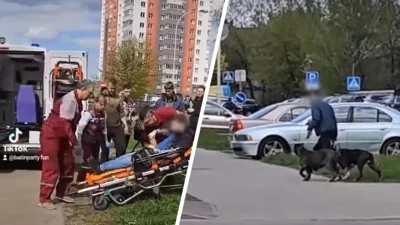 "Одна вцепилась в ногу, другая кусает за голову" - В Минске на парня с инвалидностью напали бойцовские собаки