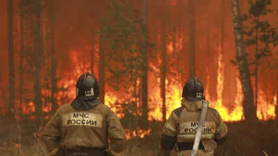В Забайкалье подростков обвинили в поджоге леса по заказу Украины
