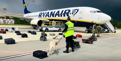 Самолет&nbsp;Ryanair в Национальном аэропорту "Минск", май 2021 года / AFP&nbsp;
