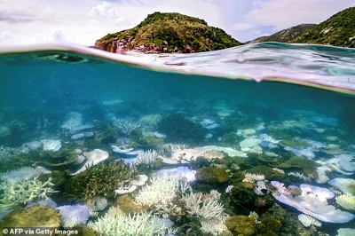 Scientists fear time is running out to protect the Great Barrier Reef, which is enduring one of its most extensive coral bleaching events