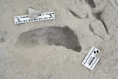 A extinct human footprint