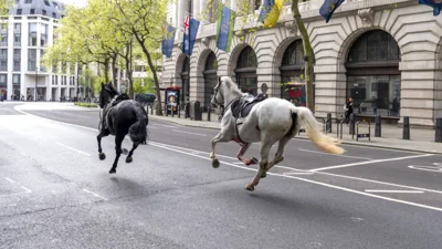 Riderless horses recovered after running loose through London; ‘a number’ of people injured