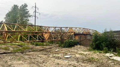 В Петербурге и Ленобласти три человека погибли при падении деревьев в результате урагана