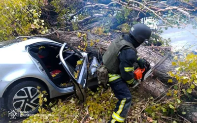 В Никополе дерево упало на автомобиль и раздавило водителя (фото)