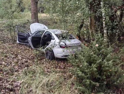 Легковушка врезалась в дерево в Малоритском районе 3 октября 2024 года. Фото: ГАИ