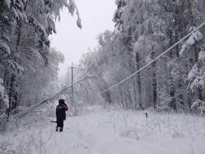 74 тысячи жителей Свердловской области остались без электричества из-за аномального снегопада
