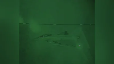 Британия и Франция разбомбили подземный склад вооружений ИГ в Сирии