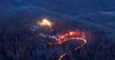 Дрон-дракон сжег блиндажи и укрытия с российскими оккупантами в Харьковской области — видео уничтожение оккупантов