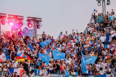 A crowd cheering and waving flags.