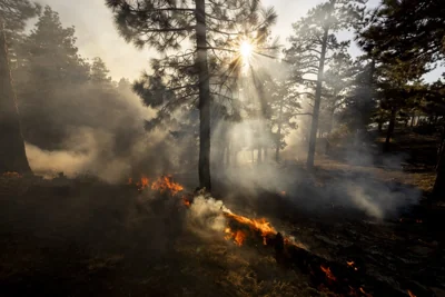 California Wildfire Warnings