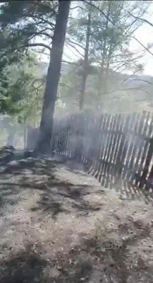 Под Читой борются с крупным пожаром, горят дома и лес