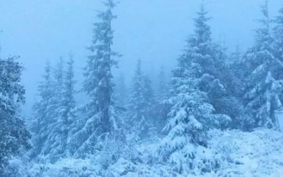 В Україні випав перший сніг (фото, відео)