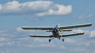 Самолет Ан-2 разбился в Подмосковье