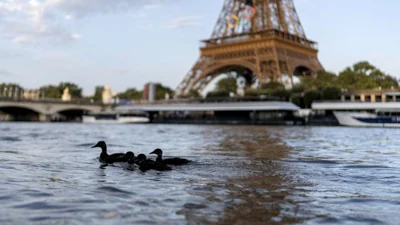 Ducks swim along the Seine River in front of the Eiffel Tower during the 2024 Summer Olympics on Monday
