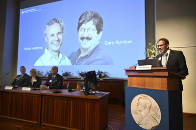 Nobel Prize in medicine goes to American duo for their discovery of microRNA