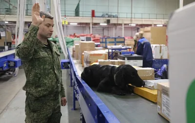 ⚡️ Гражданина США задержали в аэропорту Внуково по делу о контрабанде наркотиков