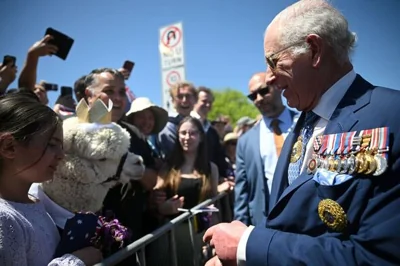 The King met an alpaca 