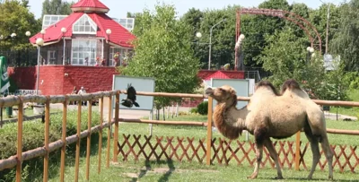 Минский зоопарк призвал белорусов поделится с животными излишками урожая