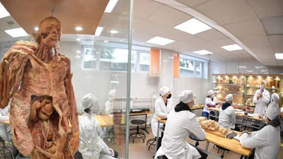 “Ъ” узнал реальные сроки обязательной работы для выпускников медвузов