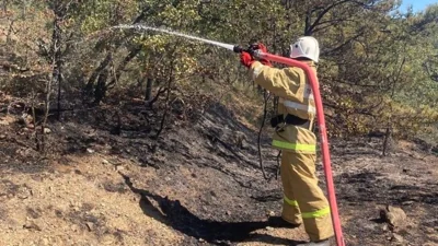 МЧС РФ: в Крыму на треть выросло число пожаров. В Севастополе из-за возгораний закрывают леса