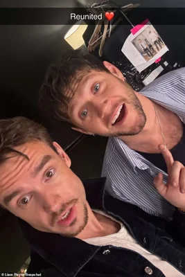 A heartbreaking video shows Liam Payne singing and dancing at his former bandmate Niall Horan's, where he later posted a picture with Niall to Snapchat captioned: 'Reunited'