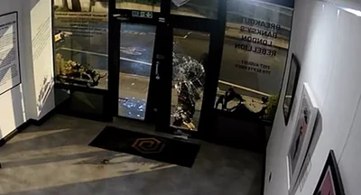 CCTV footage from inside Grove Gallery, London, shows how a thief smashed their way inside