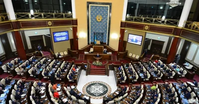 Казахстан отвел шаловливую «руку Запада». В стране запретили публичную пропаганду однополых отношений. Депутаты и общественники с трибун такое понесли…