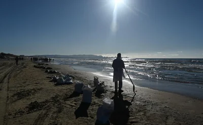 После крушения танкеров в море были найдены 32 погибших дельфина