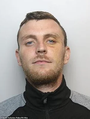 Thomas Birley (pictured), 27, pleaded guilty to arson with intent to endanger life after he stoked a fire in a bin by an entranceway to the Holiday Inn Express near Rotherham on August 4