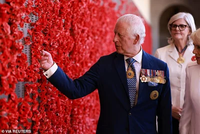 King Charles held his hand against the memoria while displaying a set of medals pinned to his suit