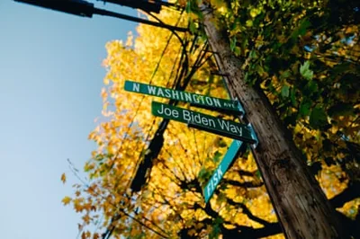 Looking up at street signs on telephone pole, with yellow-leaved trees behind.