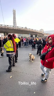 Грузинская оппозиция устанавливает палатки в новом месте - на площади Героев (Тбилиси)