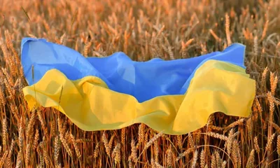 Україна має найвищий рівень смертності та найнижчий рівень народжуваності у світі