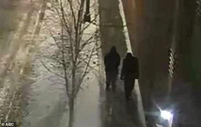 Police released this image of the brothers walking near the scene on the night of the attack which Smollett said, without realizing they had been arrested, was 'absolutely' an image of the men who attacked him