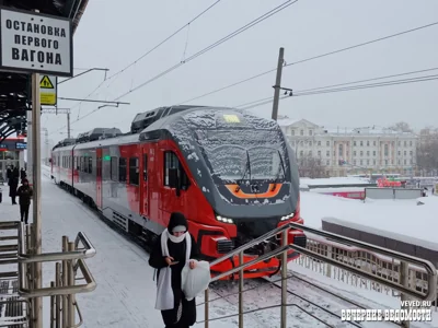 Проводницу из Екатеринбурга не стали наказывать из-за выброшенного на мороз кота Твикса