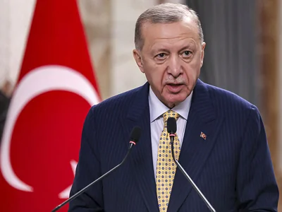Эрдоган: 7 августа Турция присоединится к иску, обвиняющему Израиль в геноциде