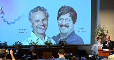 American duo win Nobel Prize for Medicine for pioneering gene discovery