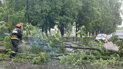 По дороге можно плыть на байдарке, с потолка течет вода: Гомель затопило дождем