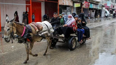 Palestinians use a donkey and cart after being ordered to evacuate eastern Rafah, in the southern Gaza Strip (6 May 2024)