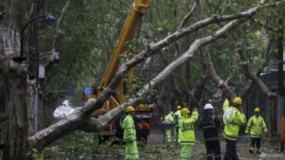 Shanghai cleans up after strongest storm in decades hits Chinese megacity