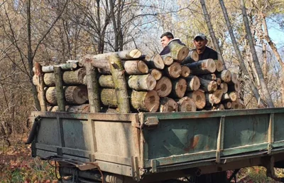 Шмигаль відреагував на скандальний закон “про дрова”