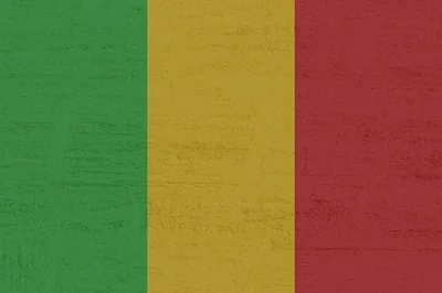 Гибель "вагнеровцев" в Мали: туареги позировали с флагом Украины