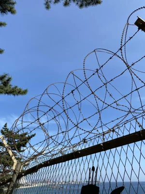 Barbwire is a common sight along the Korean Peninsula's east coast. Courtesy of NK News