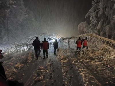 Десятки тысяч жителей Свердловской области остались без электричества из-за мощного снегопада