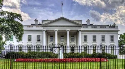 Driver dies as vehicle crashes into White House gate