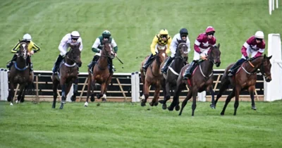 Cheltenham Day 2 tips: Seven best bets including Jonbon