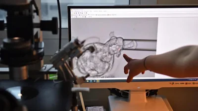 КС РФ подтвердил право детей, зачатых через ЭКО после смерти отца, на пенсию по потере кормильца