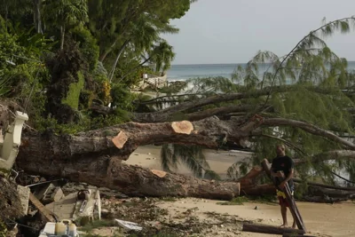 A worker chops a tree uprooted by Hurricane Beryl in St. James, Barbados, Tuesday, July 2, 2024. AP PHOTO
