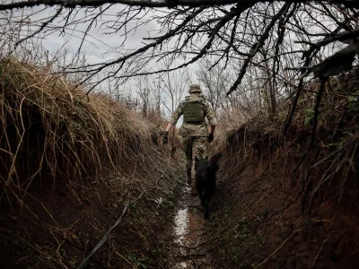 Satellite images reveal Russian troops digging trenches deep inside Kursk region