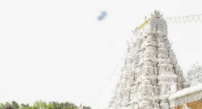 Tirupati Board Member Files Police Complaint Against Former Chairman Over Cattle Death Claim